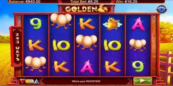Golden Hen (4)