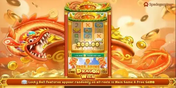Dragon Wish 3