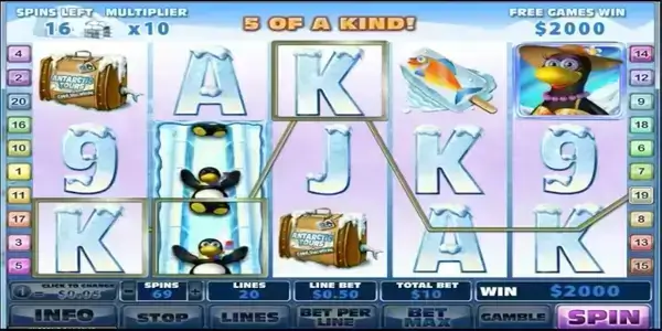 Penguin Vacation (4)